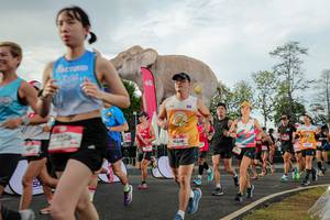 BIB: 
                            <button type="button" onclick="openModal(26528316)" class="btn btn-primary btn-sm float-right btn-popup" data-toggle="modal" data-target=".modal-high-quality">
                        <i class="fas fa-shopping-cart"></i> Add to Cart
                    </button>
                                            <button type="button" onclick="isThisMe(26528316, true)" class="btn btn-success btn-sm float-right btn-popup btn-isme hidden" data-toggle="tooltip" data-placement="bottom" title="นี่คือรูปของคุณใช่ไหม คลิกที่นี่เพื่อเอาเข้าอัลบั้ม">
                        <i class="fas fa-plus"></i> Add to album
                    </button>
                    <button type="button" onclick="isThisMe(26528316, false)" class="btn btn-warning btn-sm float-right btn-popup btn-isnotme hidden">
                        <i class="fas fa-ban"></i> Remove from album
                    </button>